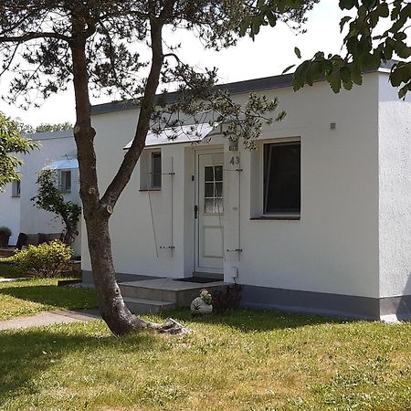 Ferienhaeuschen Kuestenwald Bei Warnemuende, Eigener Garten, Terrasse Mit Strandkorb, 400M Zum Strand Diedrichshagen  Luaran gambar