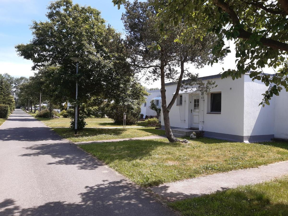 Ferienhaeuschen Kuestenwald Bei Warnemuende, Eigener Garten, Terrasse Mit Strandkorb, 400M Zum Strand Diedrichshagen  Luaran gambar